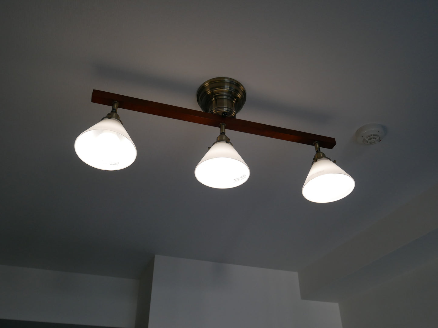 CEILING SPOTLIGHT シーリングスポットライト / CMC-2326-sd-0019