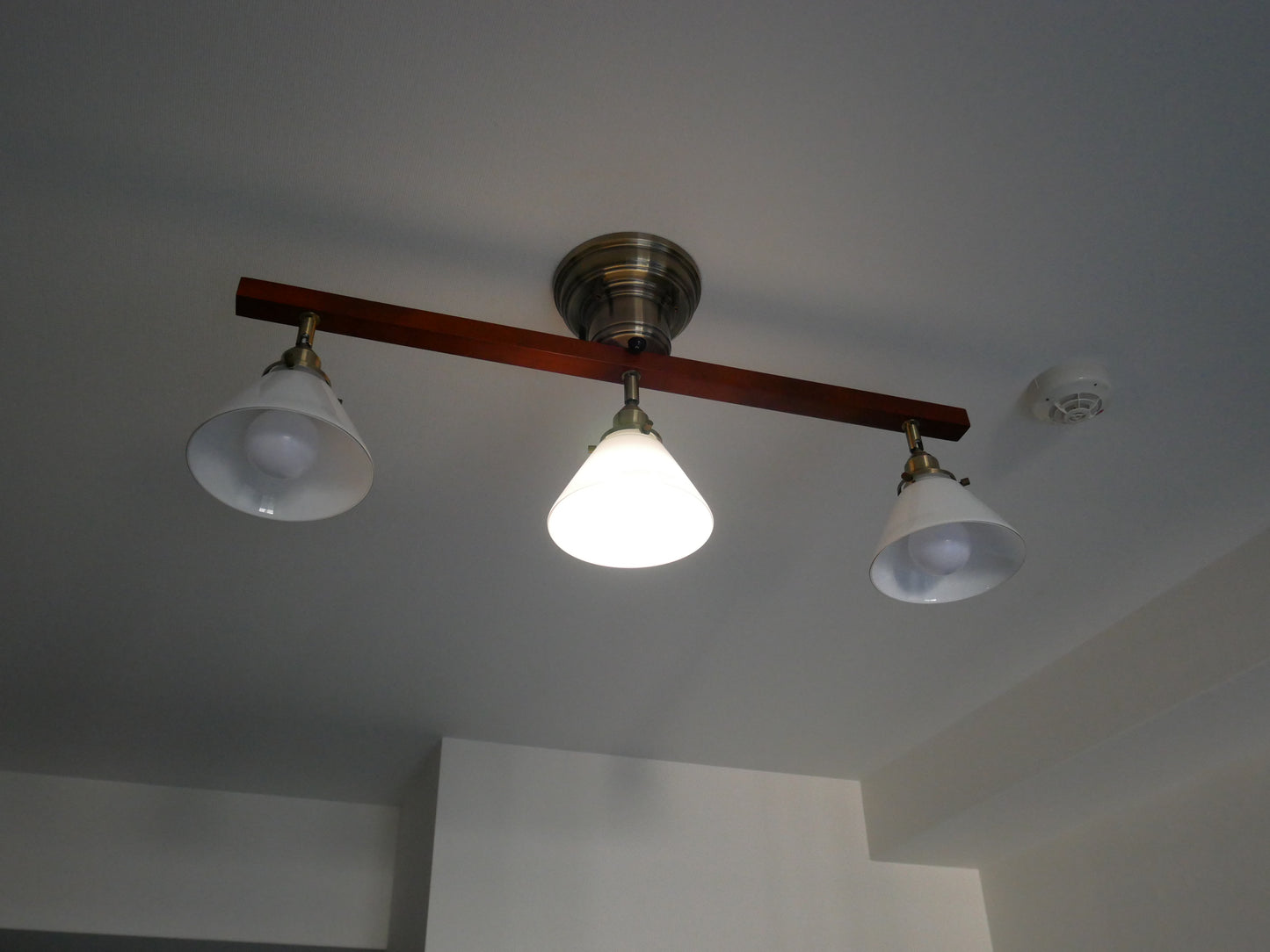 CEILING SPOTLIGHT シーリングスポットライト / CMC-2326-sd-0019