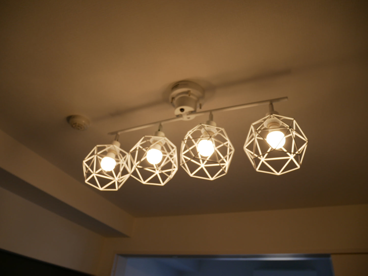 WIRE Ceiling Light ワイヤー シーリングライト / KMC-4913-CMP-003