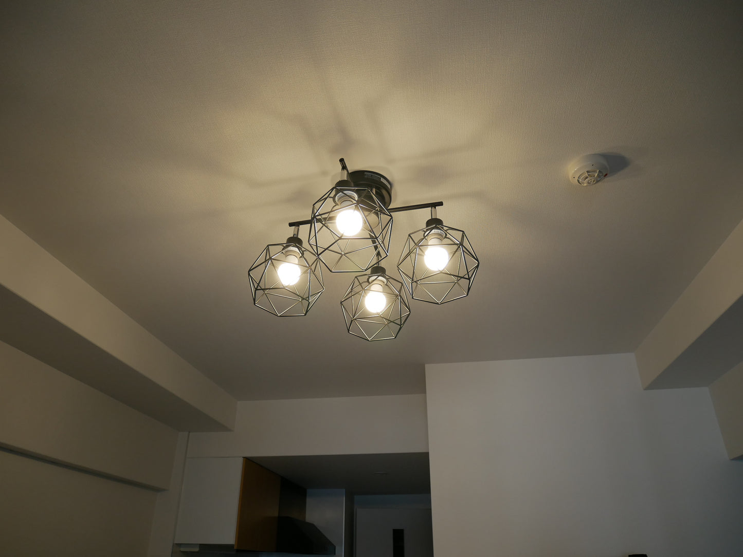 WIRE Ceiling Light ワイヤー シーリングライト / KMC-4923-CMP-003
