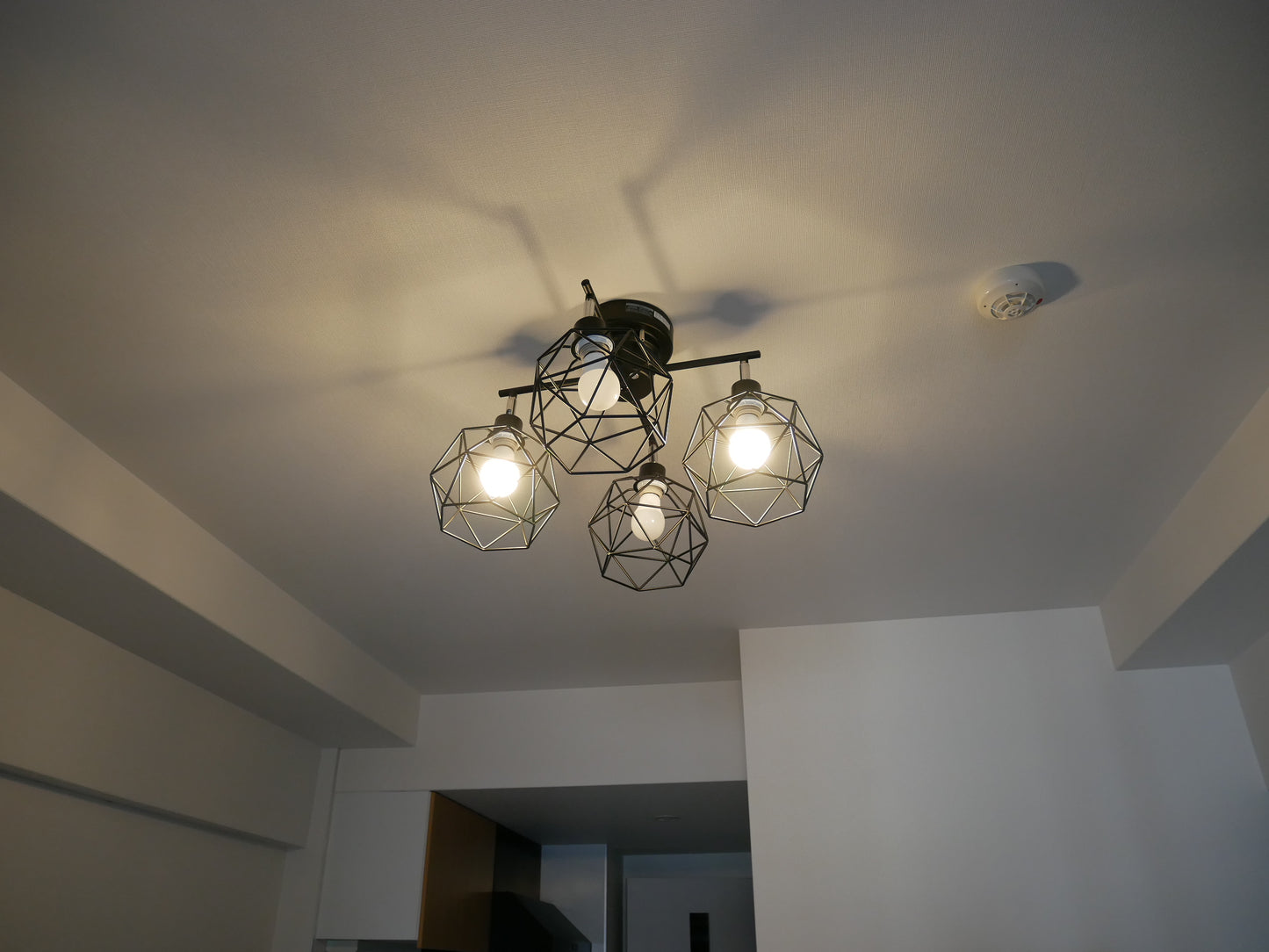 WIRE Ceiling Light ワイヤー シーリングライト / KMC-4923-CMP-003