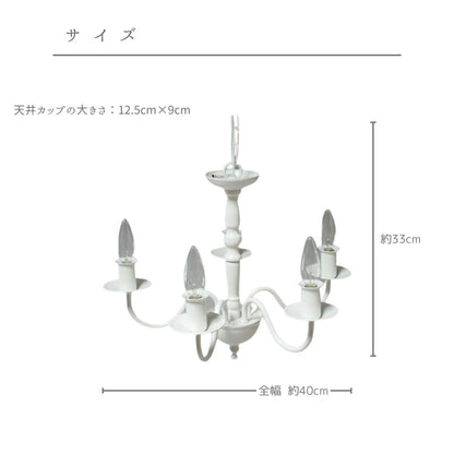 LUSTRE ラスター /cch-0003